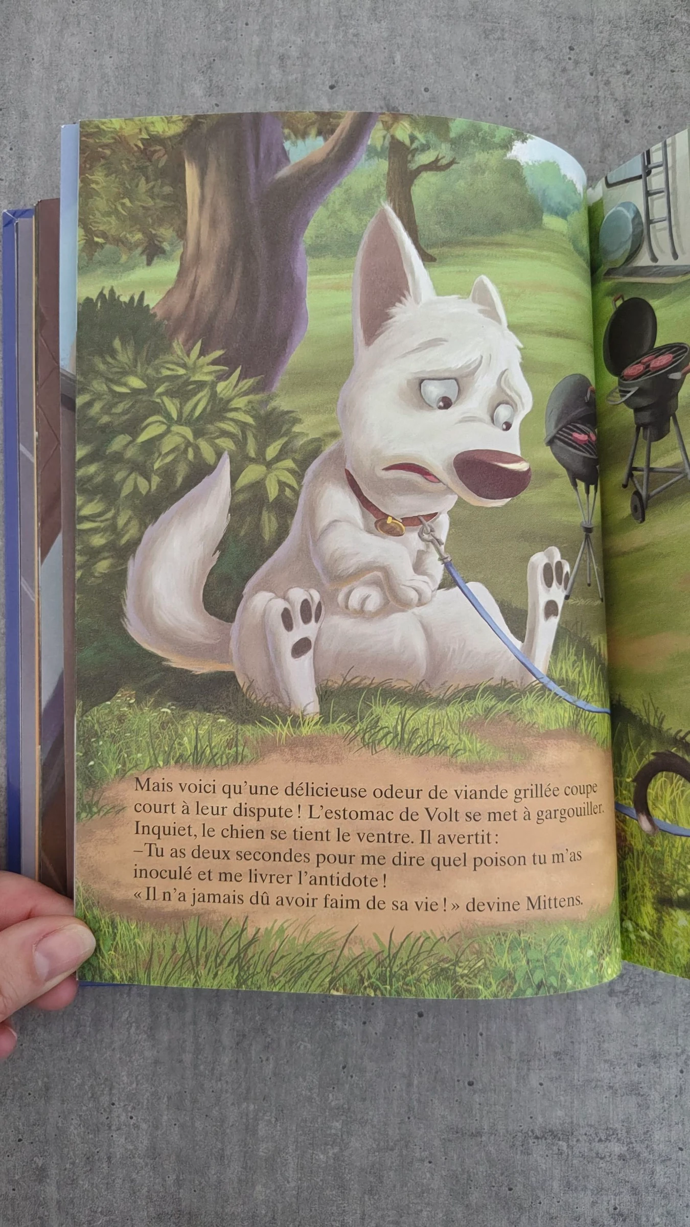 Libro infantil «Volt», estrella a pesar de sí mismo - Disney – photo 3